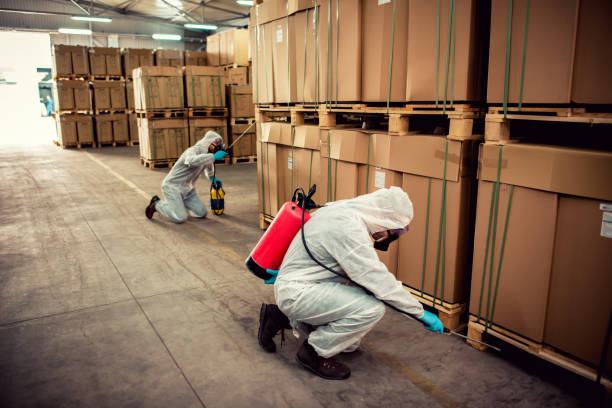 Best Wasp Removal Services  in Westbrook, ME