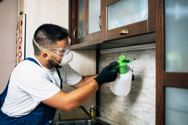 Best Best Pest Control Companies  in Westbrook, ME