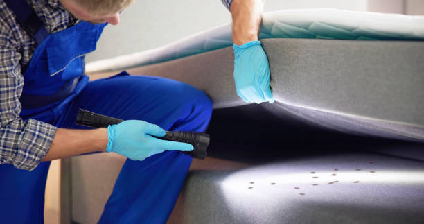 Best Mosquito Control Services  in Westbrook, ME