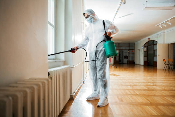 Best Wildlife Control Services  in Westbrook, ME